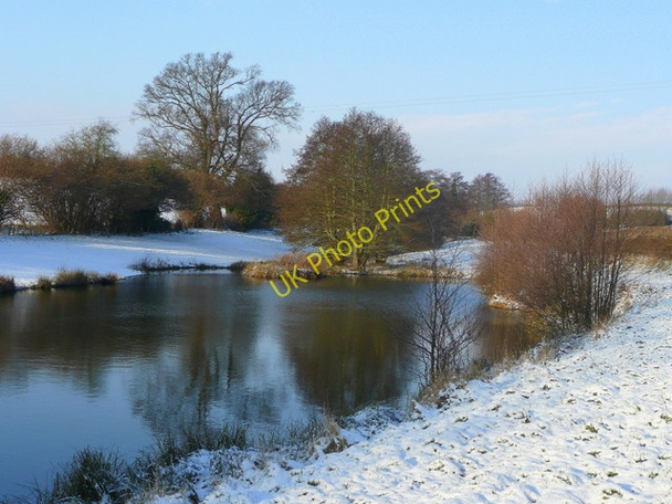 Photo 6"x4" Winter pond scene near Bridstow Ross-on-Wye c2009