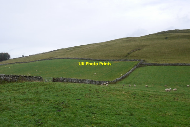 Photo 6"x4" Sunnyside Hill Hawick c2015