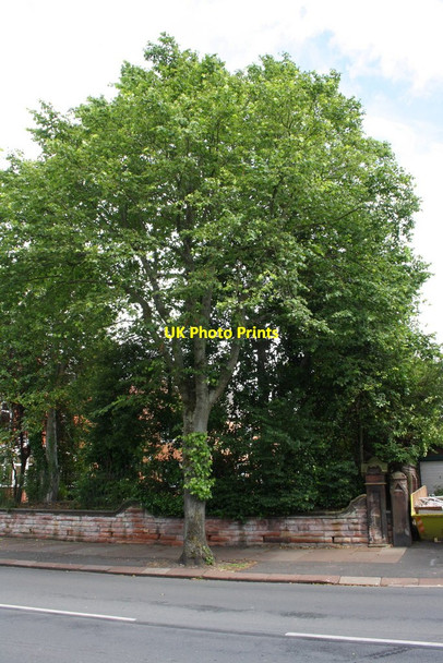 Photo 6"x4" Wall of #139 Dalston Road Carlisle c2015