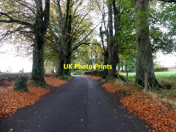 Photo 6"x4" Craghan Road, Craghan Ballinamallard c2015