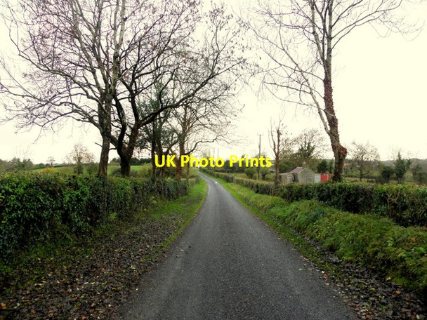 Photo 6"x4" Salloon Road Ballinamallard c2015