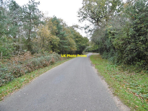 Photo 6"x4" Sowley Lane East End\/SZ3697 c2015