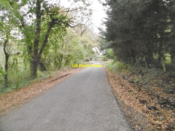 Photo 6"x4" Sowley Lane East End\/SZ3697 c2015 P1