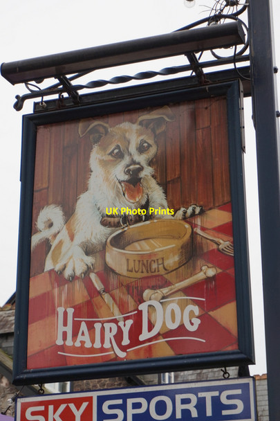 Photo 6"x4" The Hairy Dog on The Avenue, Minehead Minehead c2015