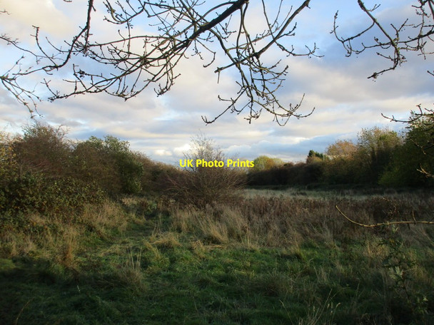 Photo 6"x4" Former allotments alongside Sutton Road Sutton-on-Hull c2015