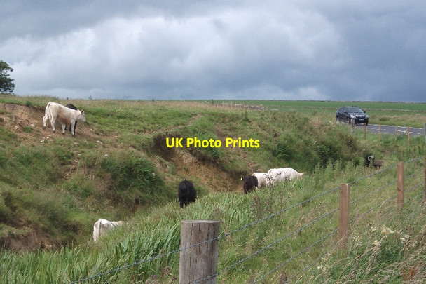 Photo 6"x4" Burn, Wideford Kirkwall c2015