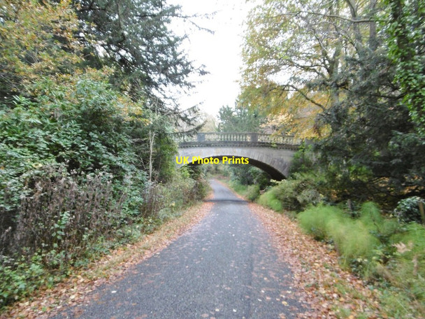 Photo 6"x4" Exbury Bridge Exbury c2015