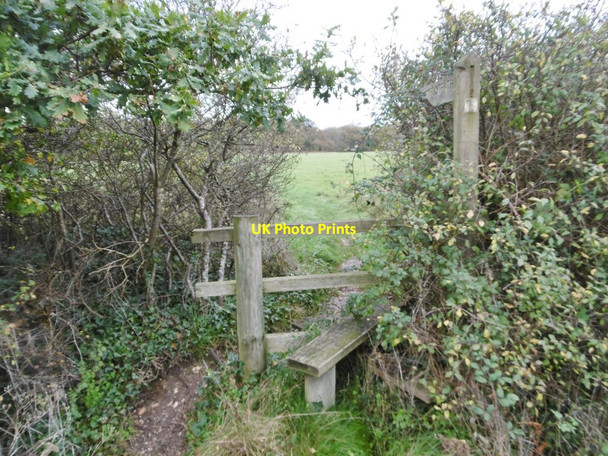 Photo 6"x4" Exbury, stile & signpost Exbury c2015