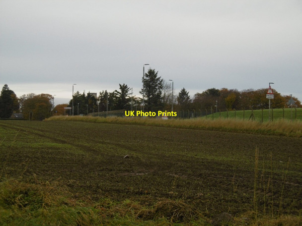 Photo 6"x4" Field by RM Condor Woodville Feus c2015