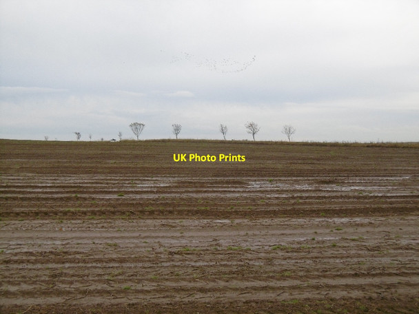 Photo 6"x4" Potato field, Woodville Feus Woodville Feus c2015