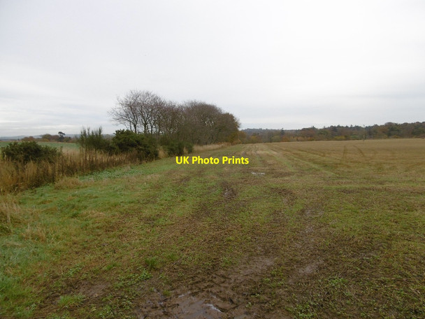 Photo 6"x4" Stubble, Peebles Waulkmills c2015