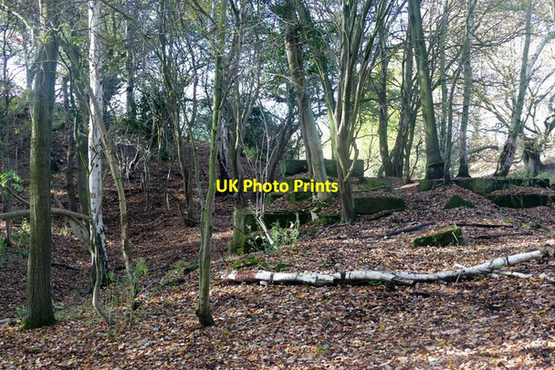 Photo 6"x4" Remains of Old Sovereign Colliery Dodworth Bottom c2015