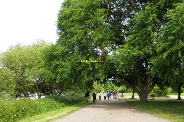 Photo 6"x4" The Thames Path in Ham Richmond\/TQ1874 c2015