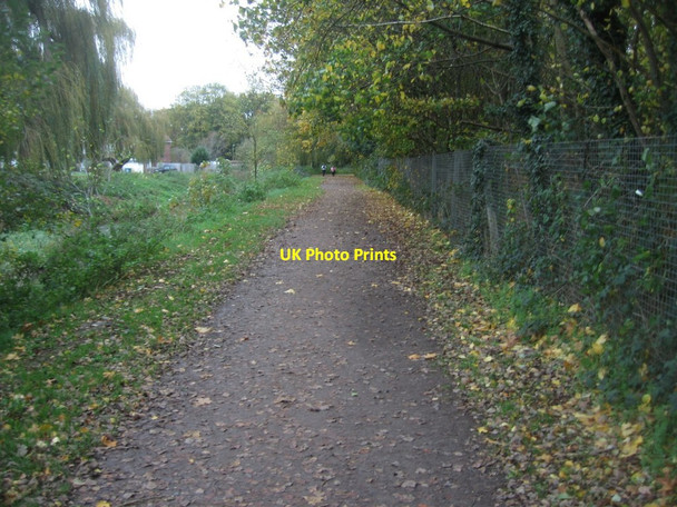 Photo 6"x4" Path beside Cove Brook Fox Lane c2015