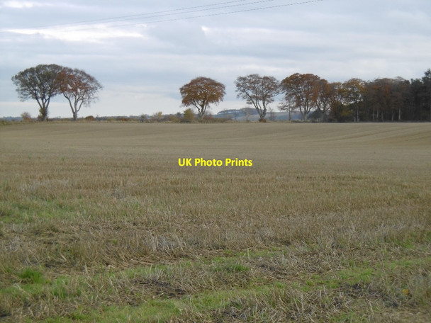 Photo 6"x4" Stubble, Arrat Bridge of Dun c2015