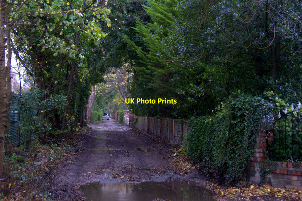 Photo 6"x4" College Avenue, Formby Formby c2015