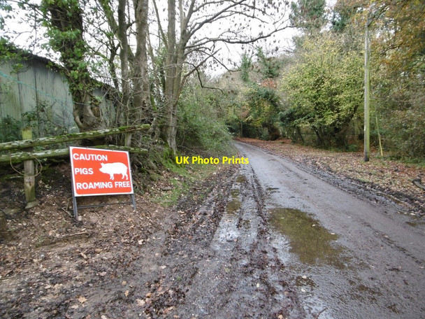 Photo 6"x4" South Gorley, warning sign South Gorley c2015