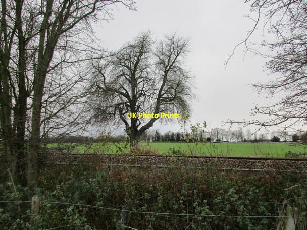 Photo 6"x4" View across the railway Womersley c2015