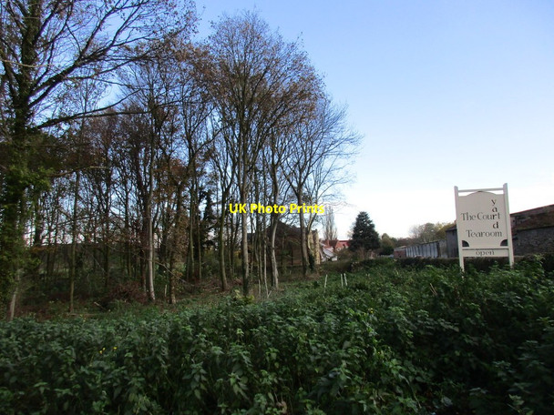 Photo 6"x4" Wooded area in the centre of Womersley Womersley c2015