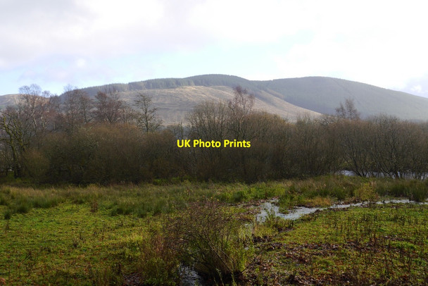 Photo 6"x4" Wetland, Ettrick Ettrick c2015
