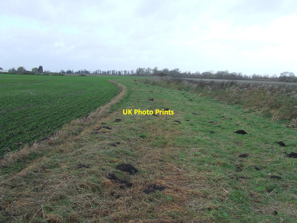 Photo 6"x4" Wide Grass Footpath Undley c2015