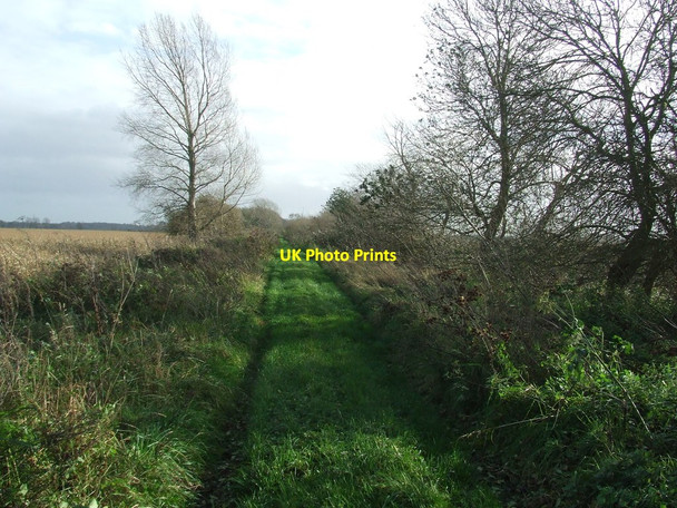 Photo 6"x4" Part Of The Hereward Way Undley c2015