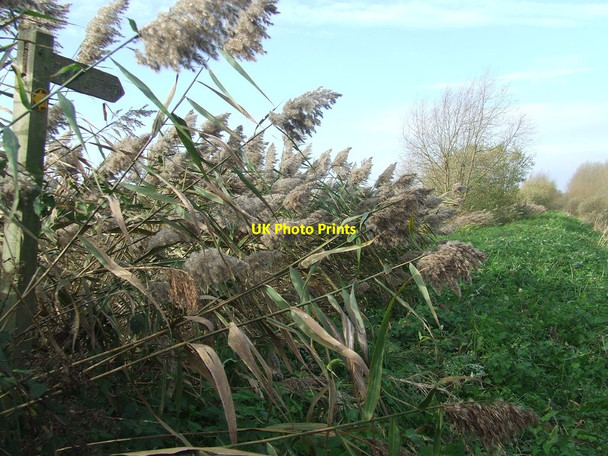 Photo 6"x4" Footpath Sign On The Hereward Way Shepherds' Fen c2015
