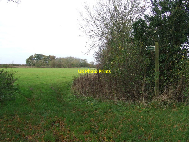 Photo 6"x4" Footpath And Sign Barnby c2015