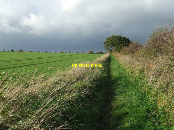 Photo 6"x4" Green Track Dark Skies Barnby c2015