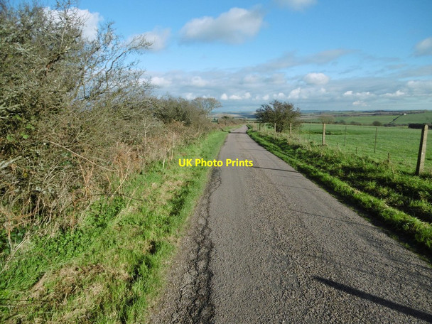 Photo 6"x4" Wynford Eagle, Shatcombe Lane West Compton\/SY5694 c2015