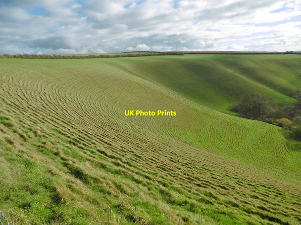 Photo 6"x4" Eggardon Hill, ripples West Compton\/SY5694 c2015