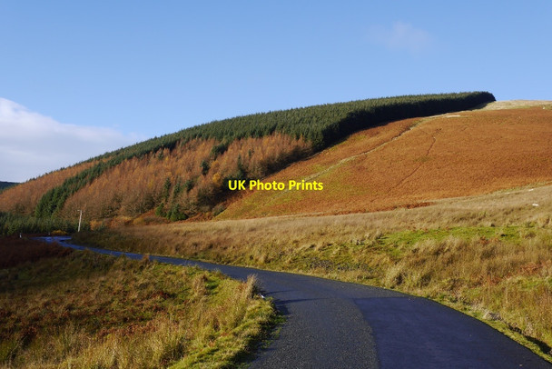 Photo 6"x4" South side of Turner Cleuch Law Tushielaw\/NT3018 c2015