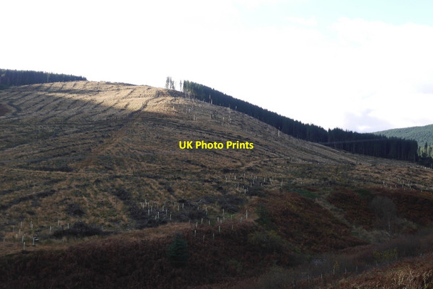 Photo 6"x4" The Shank Tushielaw\/NT3018 c2015