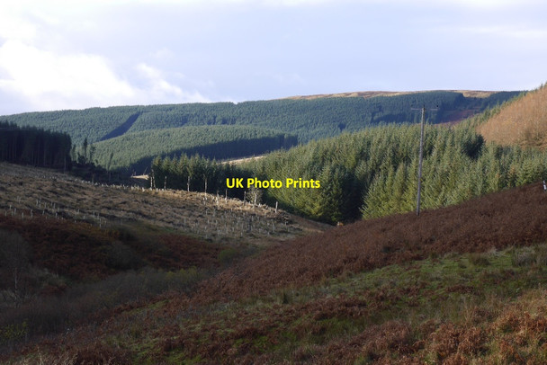 Photo 6"x4" The Wiss Bowerhope c2015