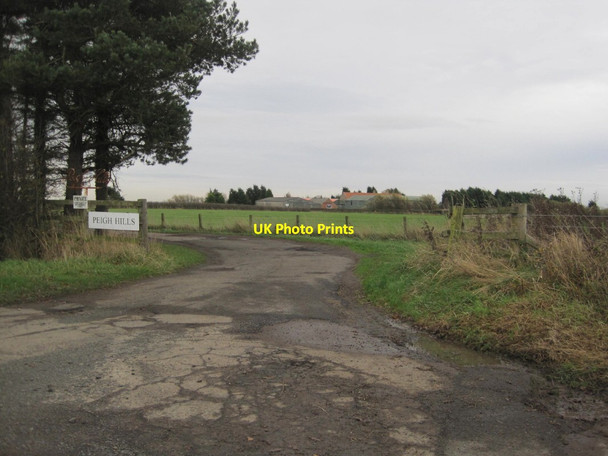 Photo 6"x4" Peigh Hills Farm Causey Park Bridge c2015