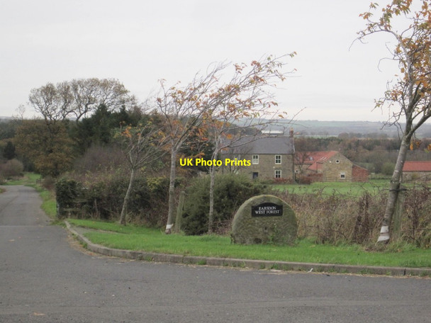 Photo 6"x4" Earsdon West Forest Farm Causey Park Bridge c2015