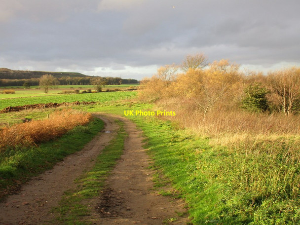 Photo 6"x4" Footpath to Whitefield Lane Whitley Thorpe c2015