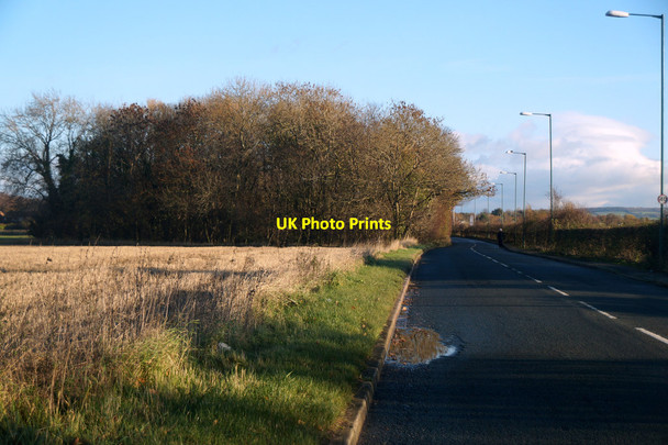 Photo 6"x4" Higgins Lane, Burscough Burscough c2015