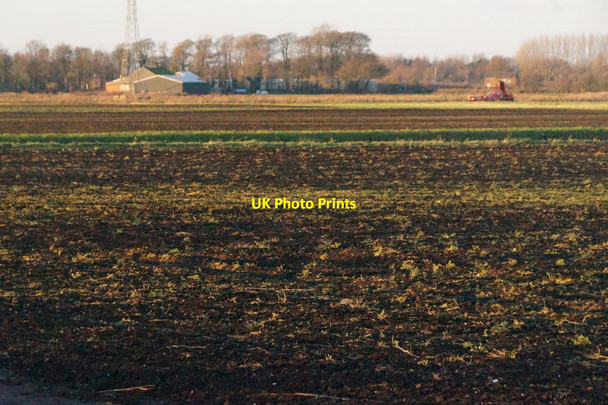 Photo 6"x4" Farmland beside Common Lane, Mere Brow Banks\/SD3920 c2015