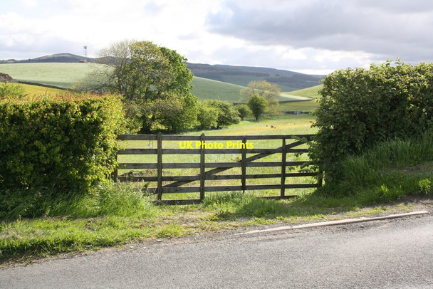 Photo 6"x4" Field gateway south of Butter Haw Farm Broughton\/SD9451 c2015