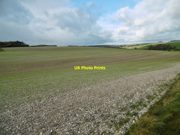 Photo 6"x4" Bradford Peverell, cropland Bradford Peverell c2015