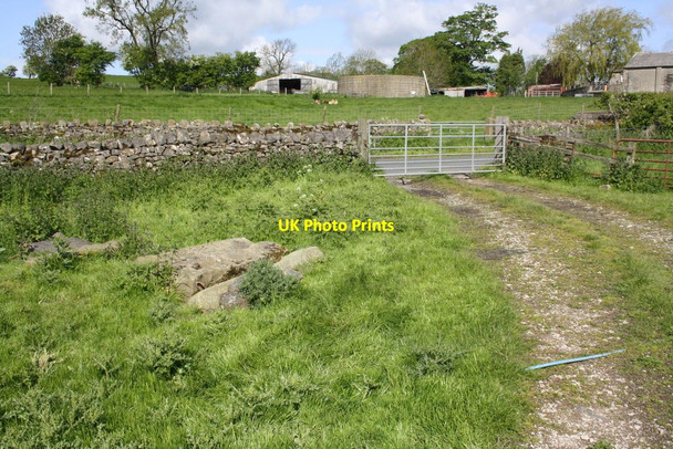 Photo 6"x4" Track into field near Mickleber Broughton\/SD9451 c2015
