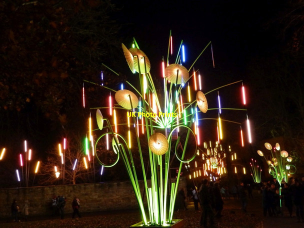 Photo 6"x4" Garden of LightTILT (France), Durham Cathedral, Durham Lumiere Durham c2015