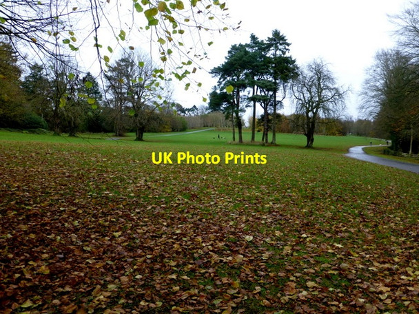Photo 6"x4" Arleston Park, Omagh Omagh c2015
