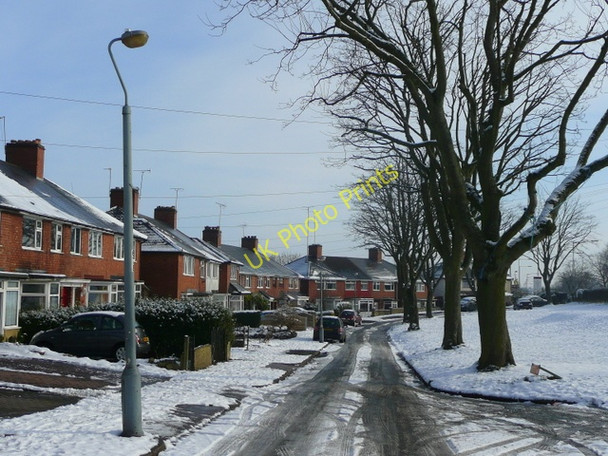 Photo 6"x4" The Leys Cofton Common c2009