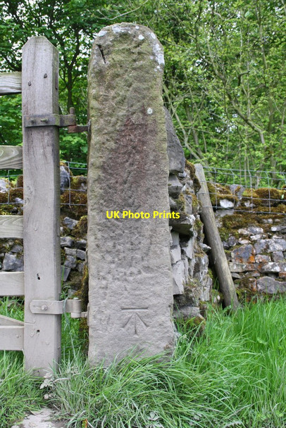 Photo 6"x4" Benchmarked gatepost on track by Sandwells Plantation Broughton\/SD9451 c2015