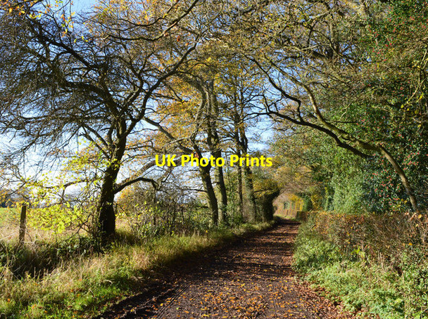 Photo 6"x4" Byway, Checkendon, Oxfordshire Checkendon c2015