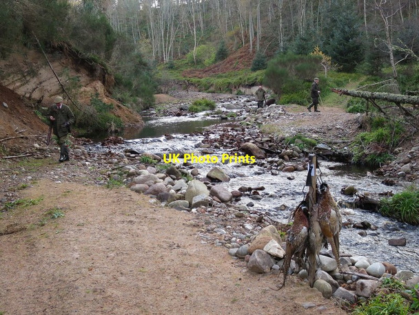 Photo 6"x4" And it's off to lunch........ Woodside\/NJ0555 c2015