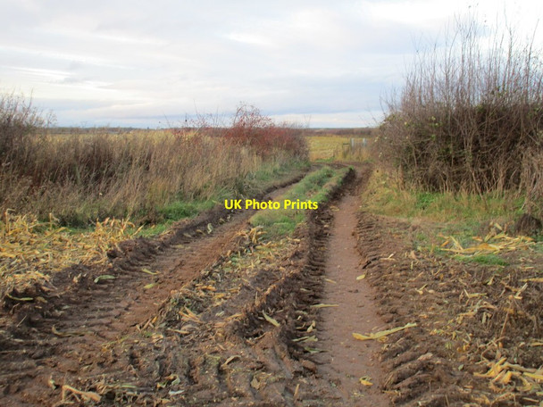 Photo 6"x4" Farm track near Kirton Kirton\/SK6969 c2015
