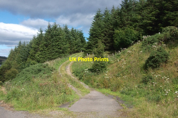 Photo 6"x4" Track off Berriedale Braes Berriedale\/ND1222 c2015
